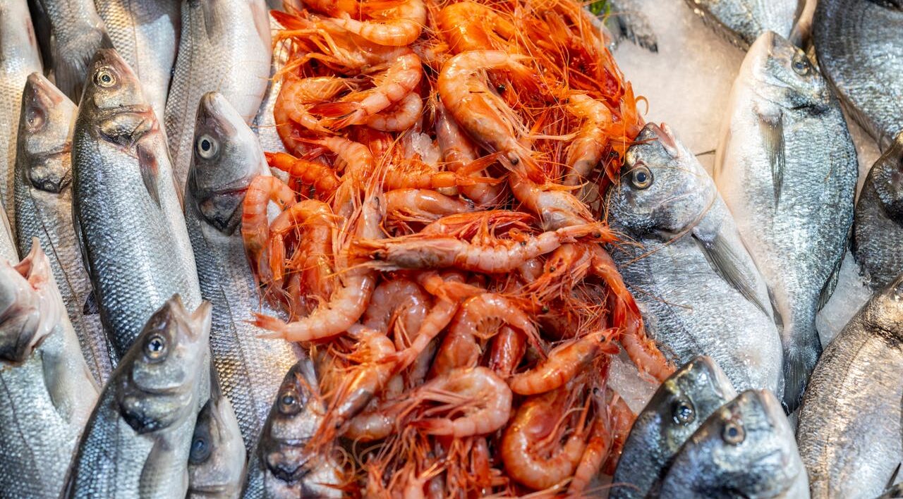 Close-up of a Pile of Freshly Caught Fish and Shrimps